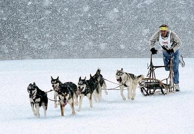 Foto: obx-news/Tourismusverband Ostbayern