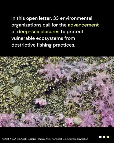 Offener Brief von 33 Meeresschutzorganisationen an die Präsidentin der EU-Kommission, Ursula von.jpg