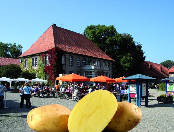 KWS Öko-Kartoffeltag.jpg