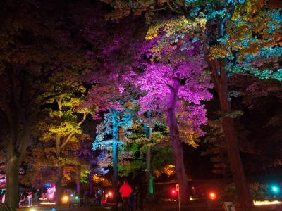 Moonlight-Adventure Golf am 12. Oktober 2019 im Bad Harzburger Kurpark