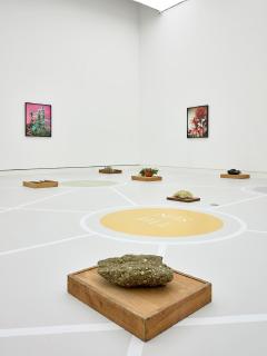 Joachim Koester: From the Secret Garden of Sleep, 2008, sepia-gefärbte Silbergelatine-Abzüge, 89,8 cm x 71,8 cm, Courtesy the artist and Jan Mot, Brüssel, nhm:mz: Dactylioceras-Bank (PWL1984/389-396), Schwefel (M1990/1388-LS), Geowissenschaftliche Sammlung JGU: Chalcedon (GW M2020/1004), Amethyst (GW M2020/1001), Pyrit und Kupferkies (GW M2020/1003), Botanischer Garten JGU: Glottiphyllum nelii / Foto: Norbert Miguletz