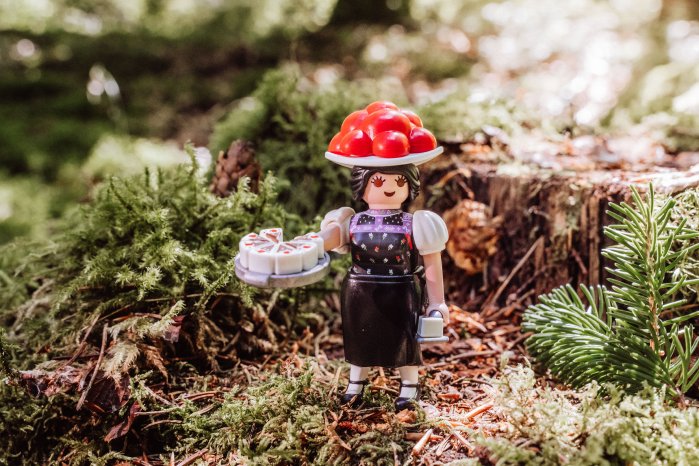 PLAYMOBIL Schwarzwald Marie_5.jpg