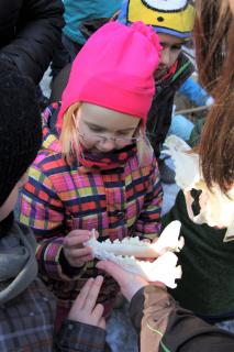 Wildpark MV Winterferien Wolfstour. Foto: R. M. Weisner