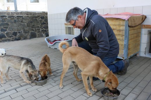 Hundefütterung2.jpg
