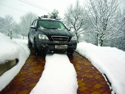 Keine Gefahren durch Schneeglätte und Frostschäden