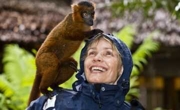 Auf Madagaskar, der_Insel der Lemuren_Chamaeleons und Baobabs Homepage.jpg