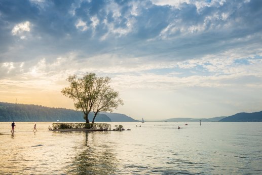 Insel_Campingplatz-Klausenhorn_Bildnachweis_MTK-Dagmar-Schwelle.jpg