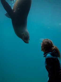 @Zoo am Meer-Wassereinsicht.jpg