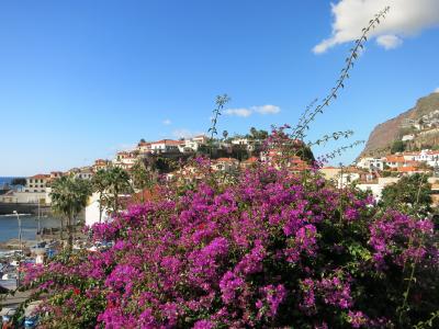 Aktivurlaub auf Madeira mit singlereisen.de