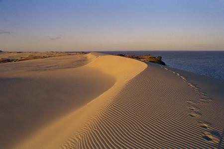 Auf der Halbinsel "Kurische Nehrung" findet man eine in Europa einmalige Dünenlandschaft vor. / Foto: Delta Tours / A. Varanka