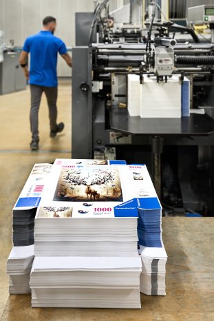 17_1 Produktion der Schachtel.jpg