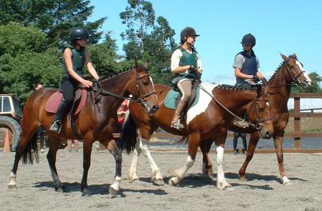 Pony camp