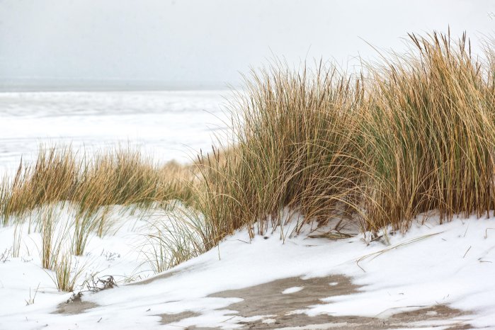 Winter auf Juist (1).jpg