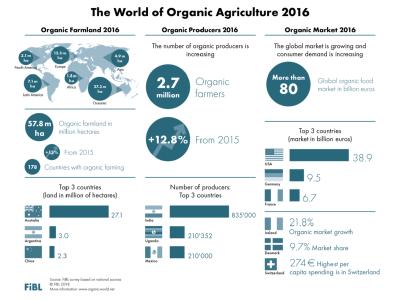 The infographic offers a great overview on organic farming worldwide
