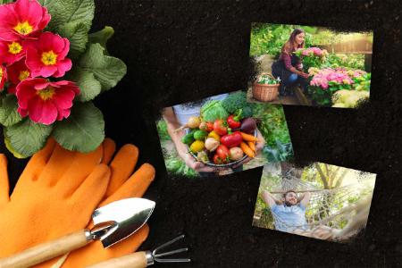 Mit den Gartentrends 2020 zaubert man sich ein Paradies aus dem eigenen Garten!