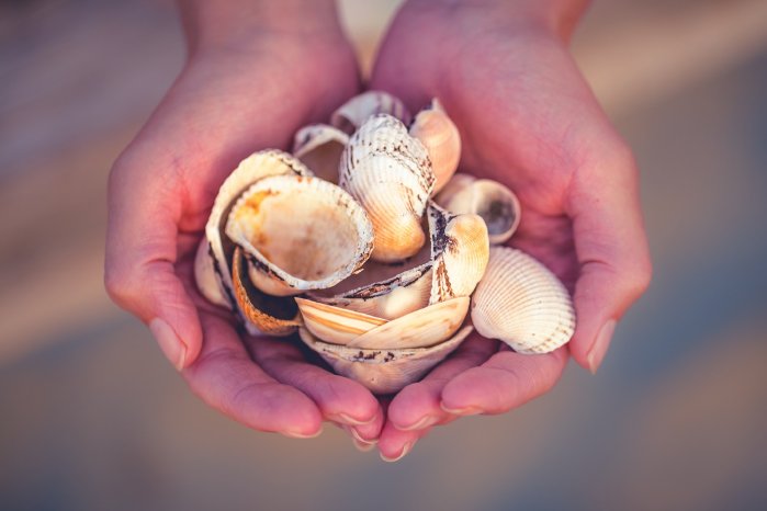 FerraraLidiComacchio-Shells-CasparDiederik-3258-webres.jpg