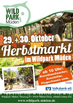 8_Veranstaltungsplakat Herbstmarkt Wildpark Müden.jpg
