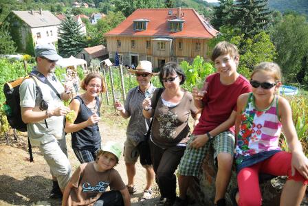 Tage des offenen Weinguts in Sachsen