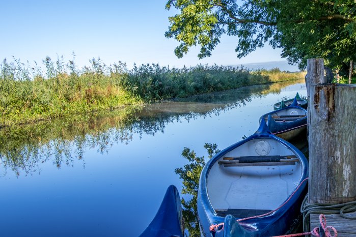 WilsterAu(c)Holger Arlt.jpg