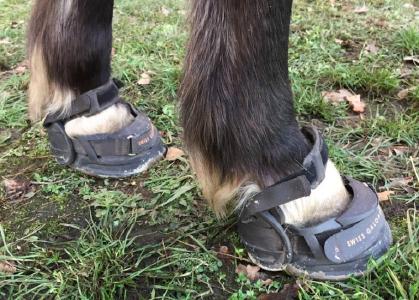 Bei dem Pony von Katja sitzen die Swiss Galoppers fest. (Bild Mosch)