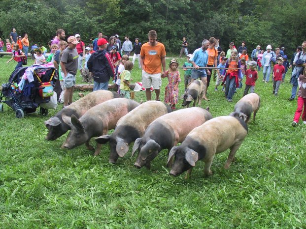 FLM Neuhausen Historische Schweinehut 1.JPG
