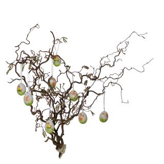 Korkenzieherhaselzweige 60cm mit eier(21)