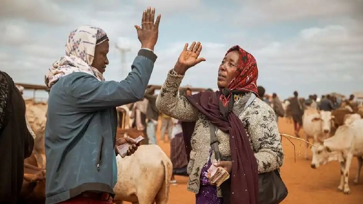 csm_2025-hires-aethiopien-borena-zone-viehhirten-markt_C_mahad-usman-helvetas_4f834b0a7c.jpeg
