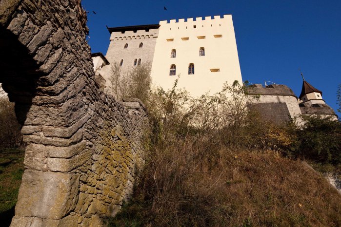 Schloss Lenzburg von Süden.jpg