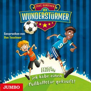 Cover "Der Wunderstürmer" Teil 1