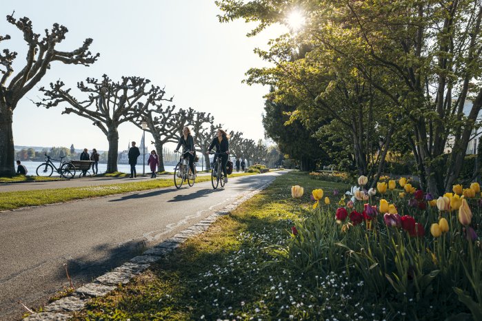 Konstanz-Seestrasse-Radfahren-Bluete-Sonne-05_Copyright_MTK-Leo-Leister.jpg