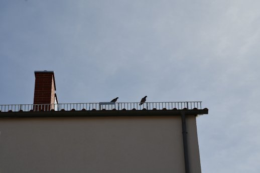 DSC_9600k.jpg