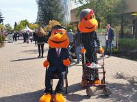 Opa  und Omatag in Kernie´s Familienpark