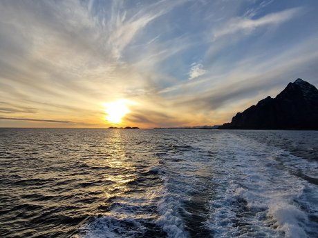 (c) Armin Rickert, Karawane.jpg