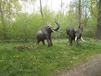 Frühlingsnatur pur: Kulturgewächshaus Birkenried