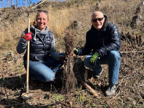 2026-03-24_Anlage1_Baumpflanzaktion der Klimainitiative im Harz der Druck- und Medienverbände.jpg