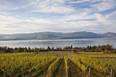 CTC Summerhill Pyramid Winery