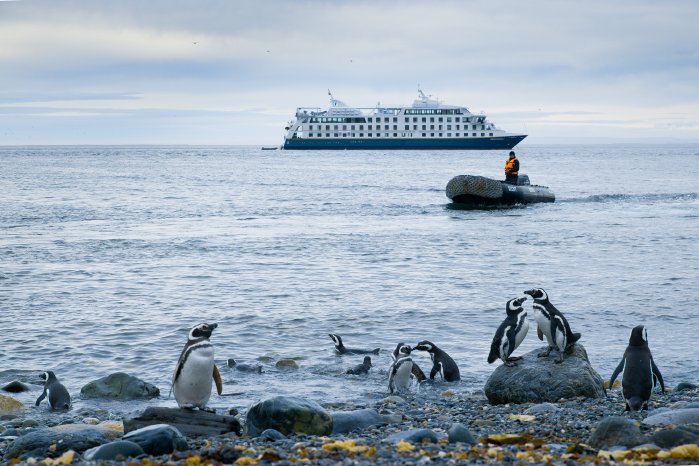 Australis-12 (c) Australis.jpg