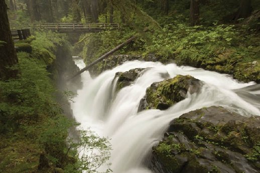 Die Sol Duc Wasserfälle (c) ARAMARK Parks and Destinations.jpg