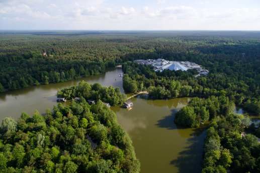 Bispinger Heide DE 088570-1.jpg