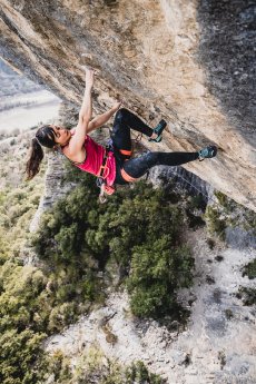 climb2.jpg