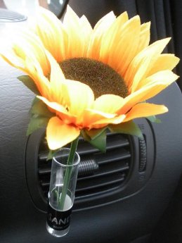 Vase+Sonnenblume.jpg