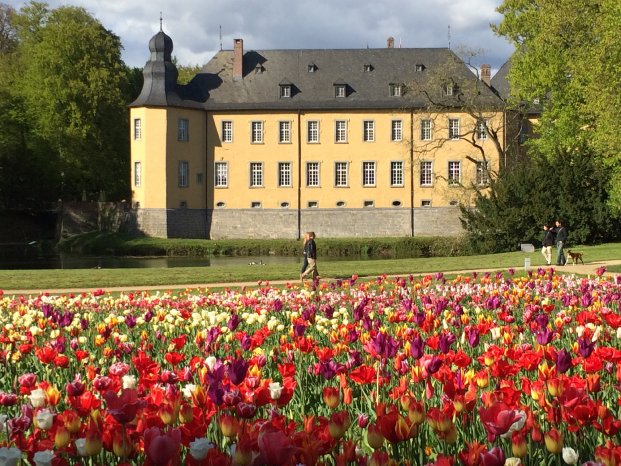 Schloss Dyck - Tulpenwiese.JPG