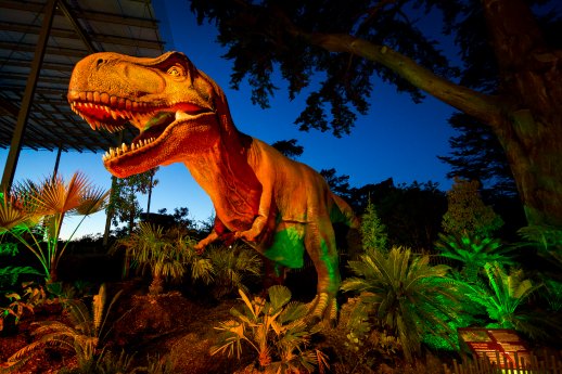 DinoDays_Nightlife_PhotoCredit_KathrynWhitney_California_Academy_of_Sciences.jpg