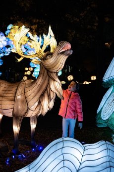 Wunderlight - Wunderland Kalkar - 8.jpg