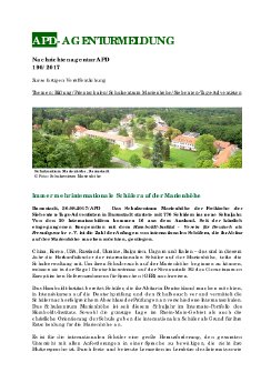 APD_190-2017.pdf
