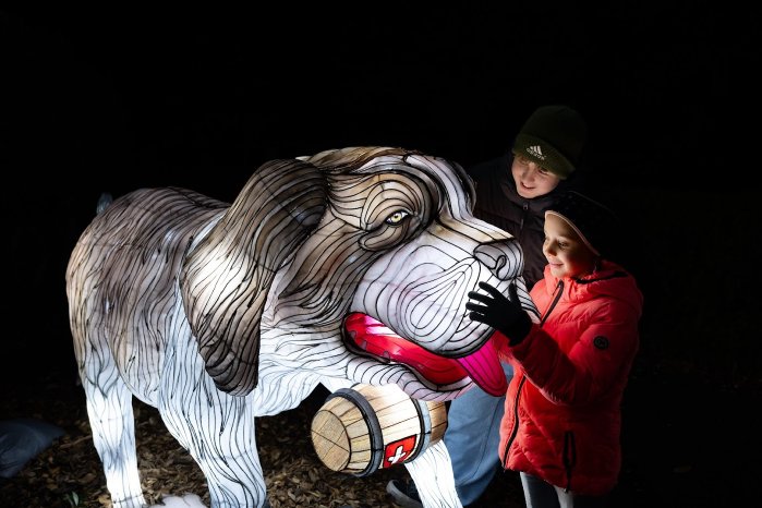 Wunderlight - Wunderland Kalkar - 6.jpg