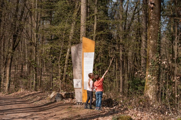 D_PA_Bad Griesbach_Stadt Waldwunderwelt (Dirschl Johann)_1II06508.jpg