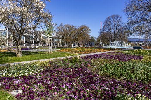 Egapark_BUGA-Ausstellungsfläche_Danakil©Stadtverwaltung Erfurt_CC-BY-NC-SA.JPG