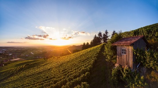 Rebhäusle Weinwanderung Oberkirch © Renchtal Tourismus GmbH Hubert Grimmig.jpg