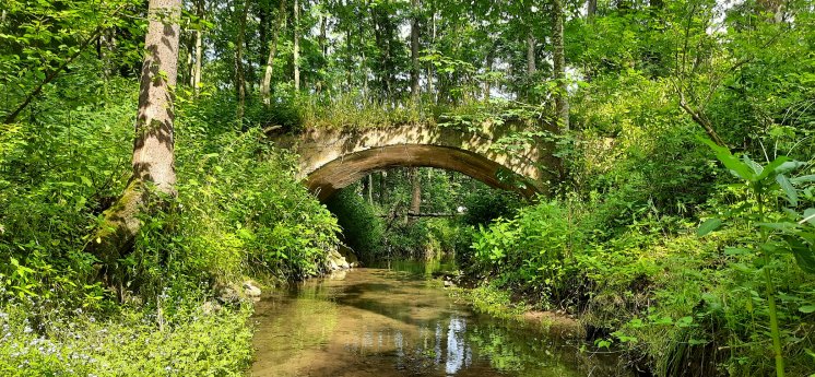 Brücke der Boggelbahn im Schwalbtal_Andreas Seel.jpg
